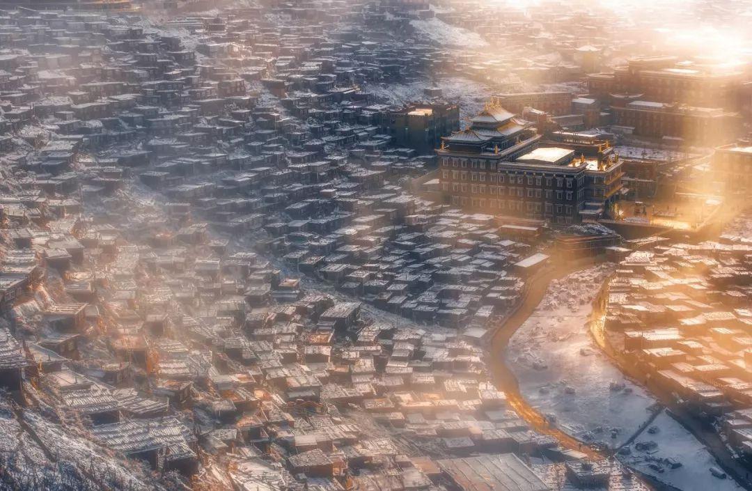 渠道布局和动销增长为王,东鹏饮料2023年业绩又大涨
